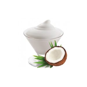 COFFEE WORLD - PREPARATO CREMA FREDDA COCCO (120 GR)